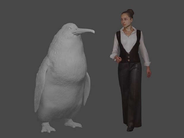 Imagem da matéria 'Fóssil de pinguim de tamanho humano é descoberto na Nova Zelândia'