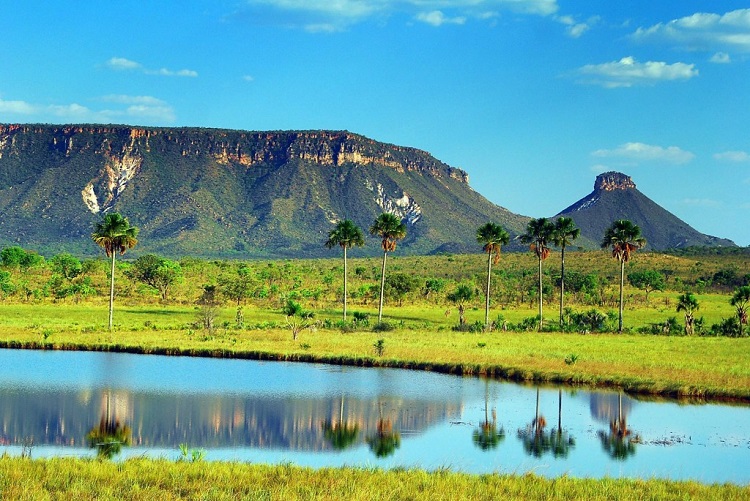 Imagem da matéria 'Apesar de promover o turismo sustentável, privatização do Jalapão oferece danos ambientais imprevisíveis'